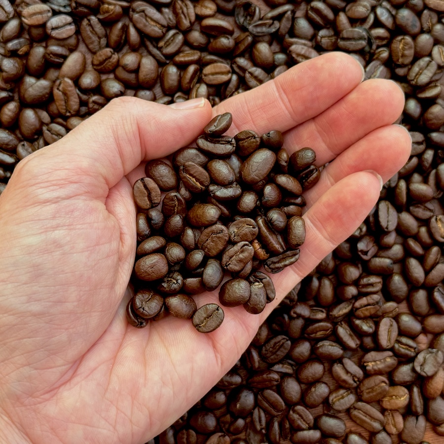 Roasted coffee beans for North Dakota office brewing